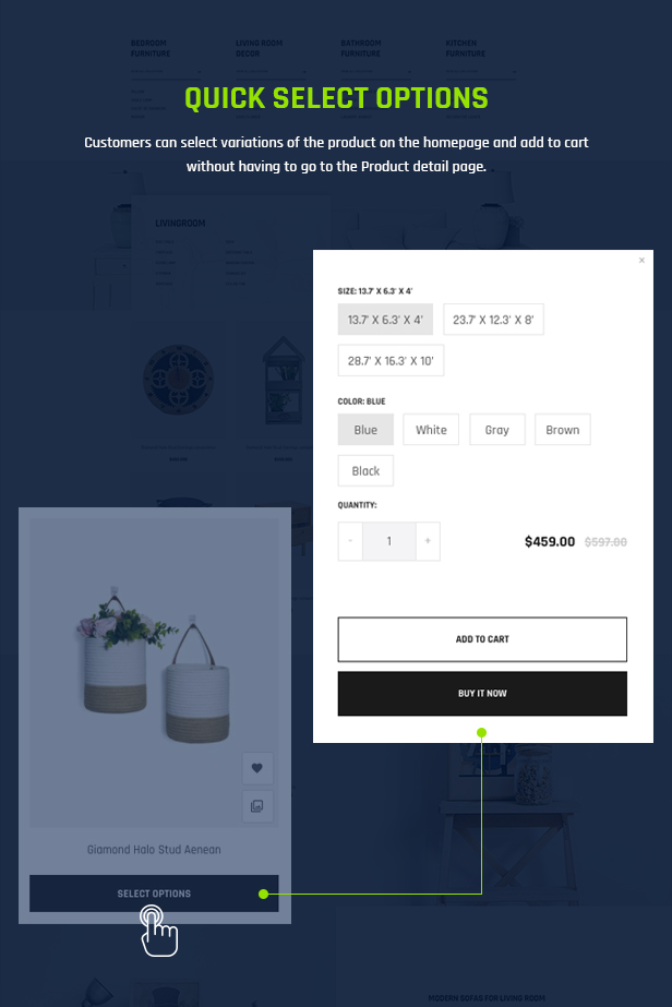 shopify theme