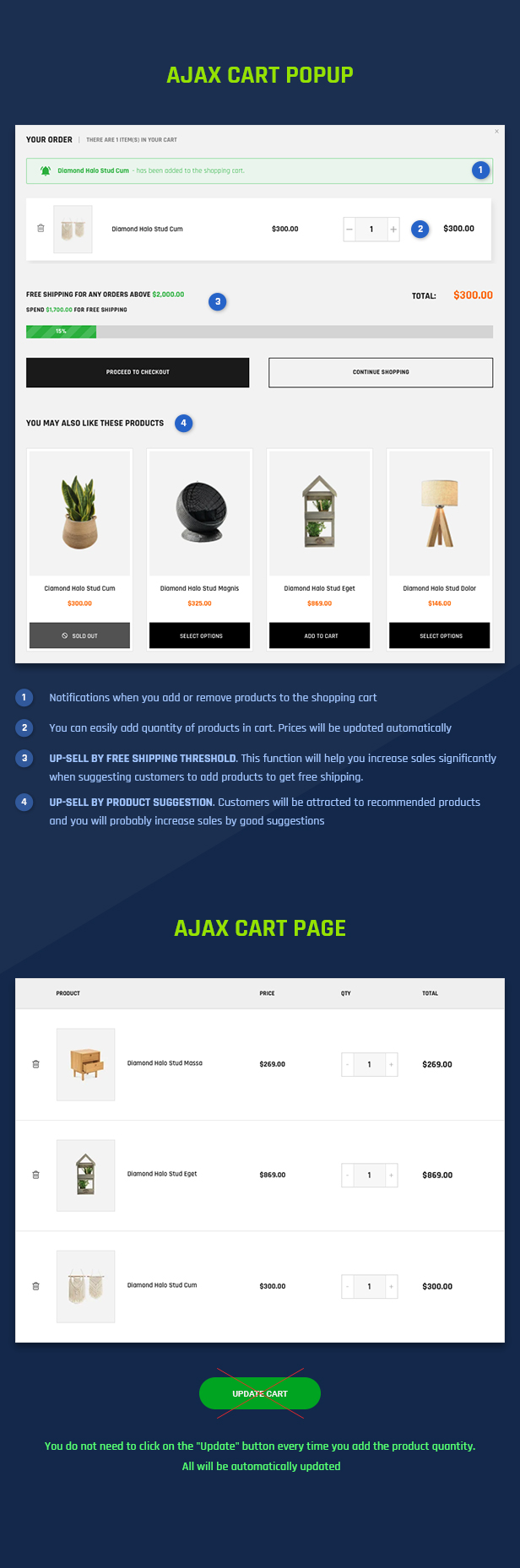 shopify theme