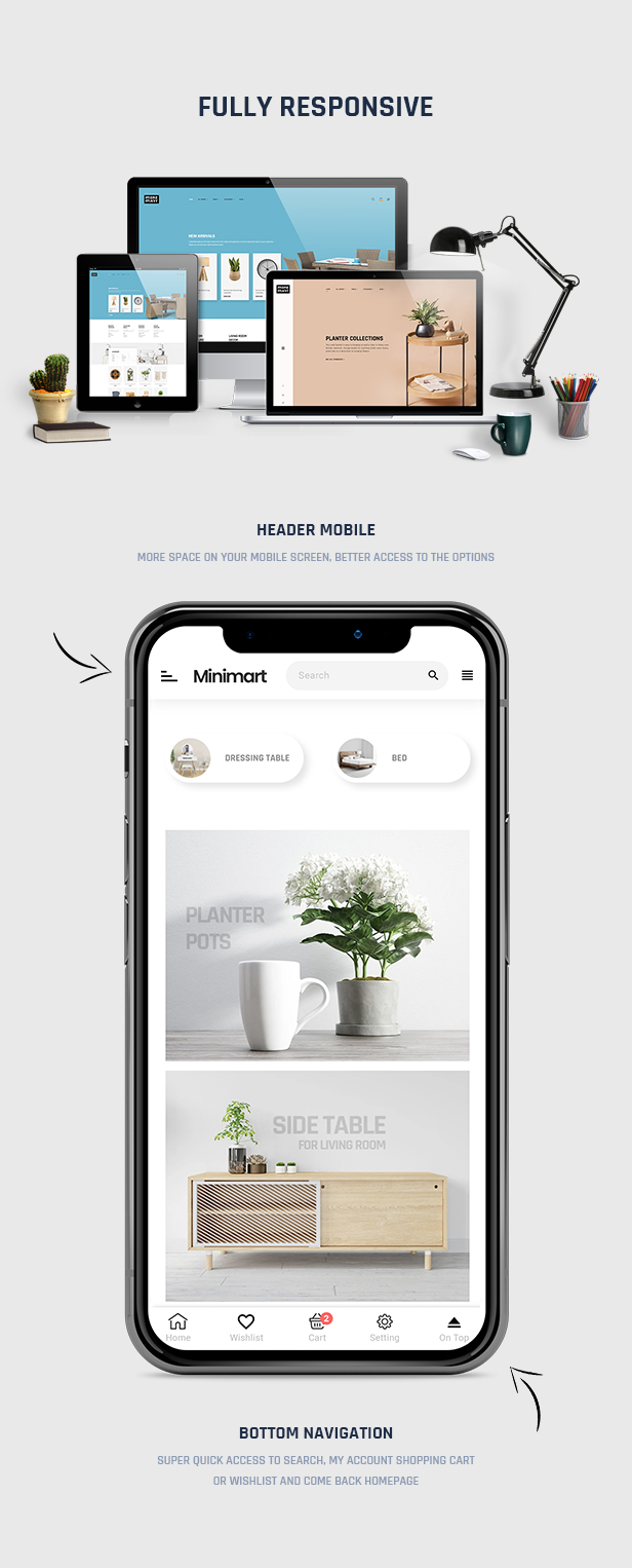 shopify theme
