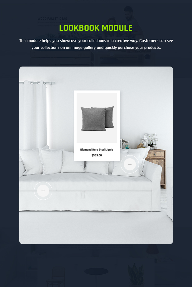 shopify theme