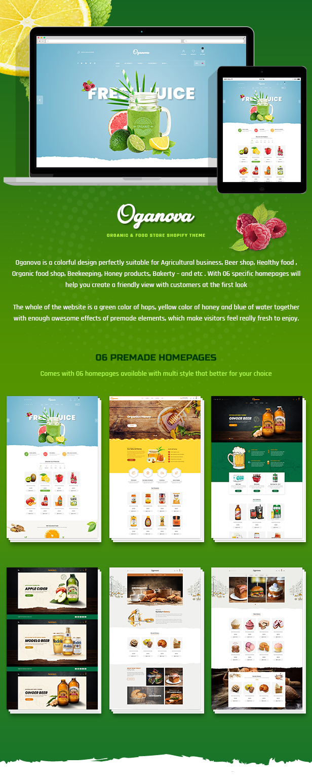 shopify theme