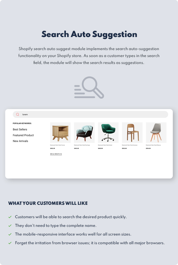 shopify theme