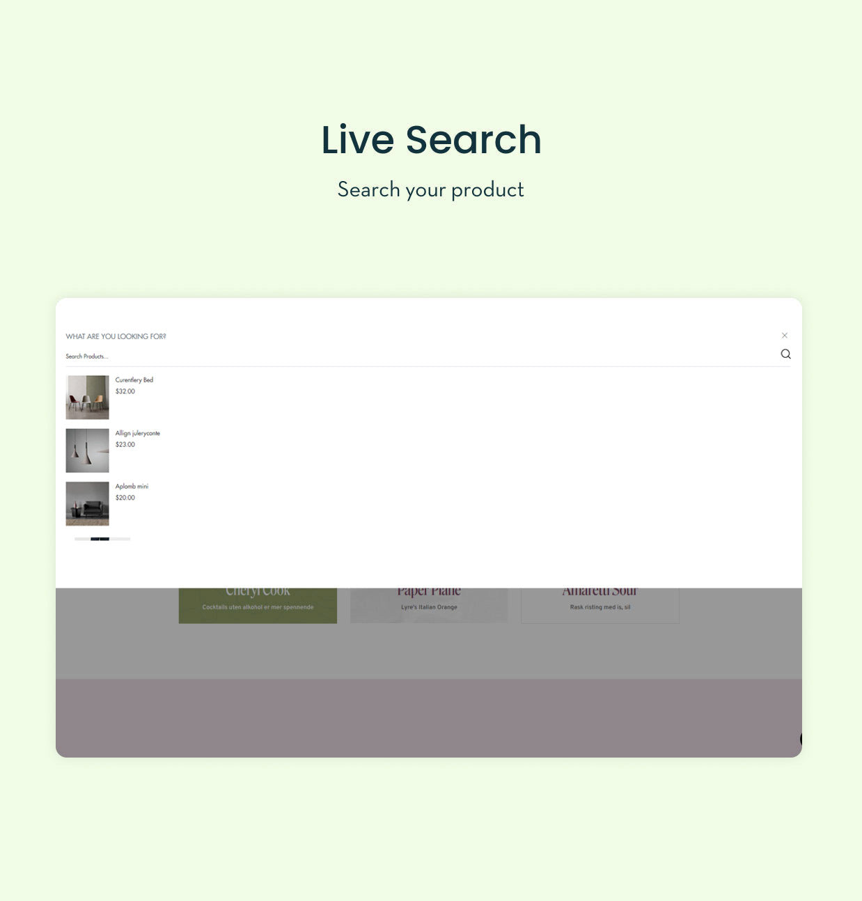 Shopify theme