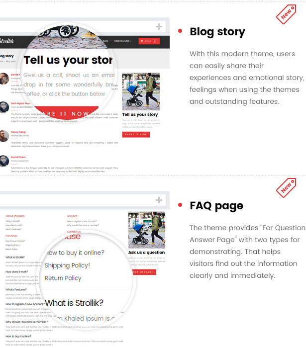 Shopify theme