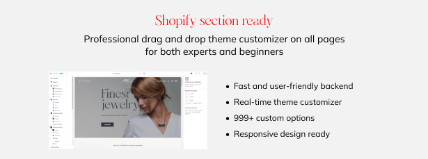 The Shopify section is ready