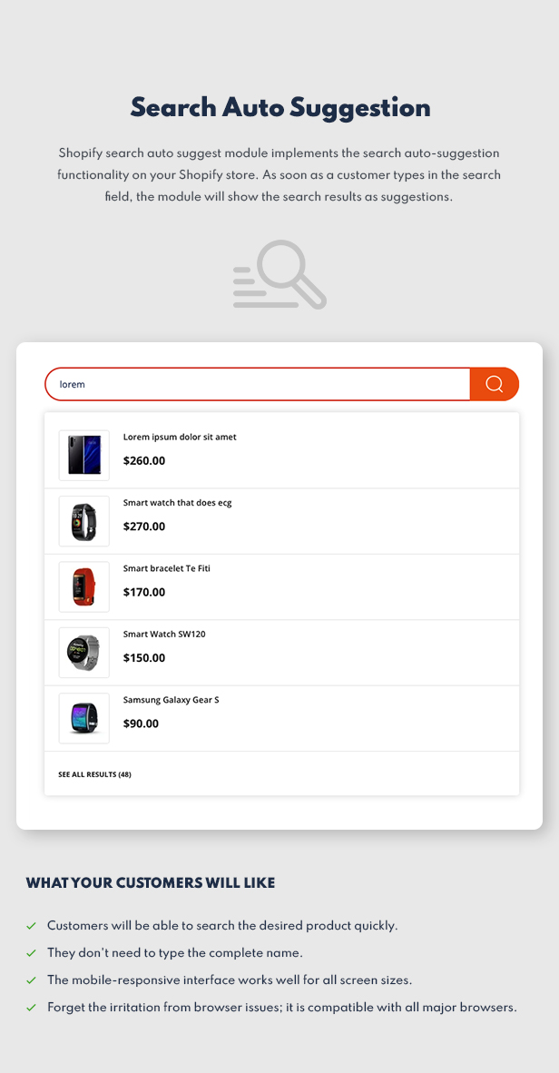 shopify theme