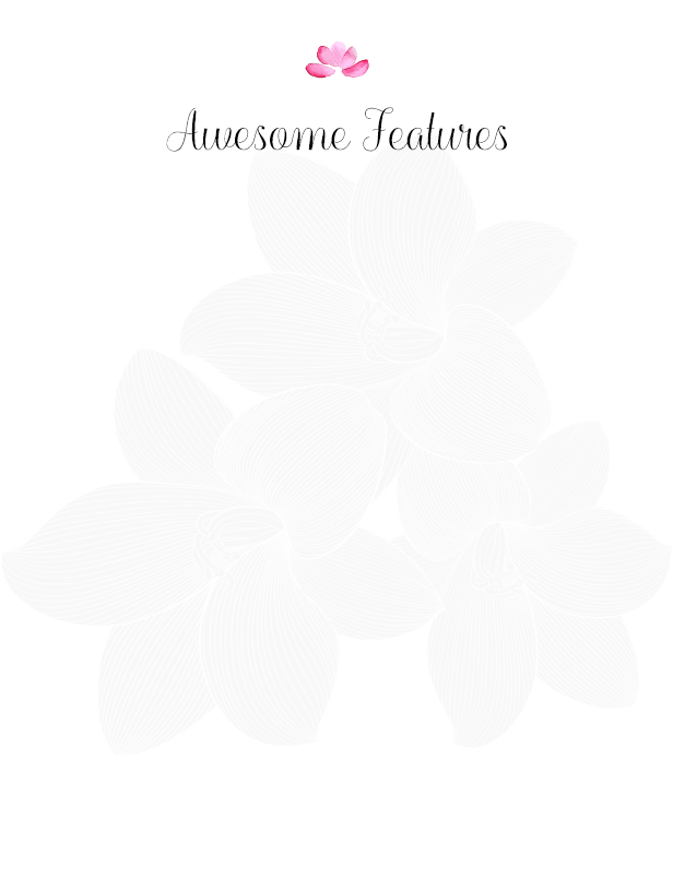 Sheena - Beauty Cosmetic Shopify Theme - 5