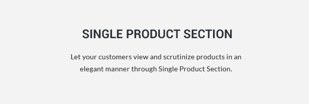 Shopify themed e-commerce