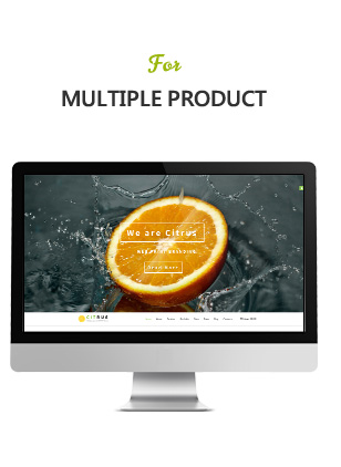 Citrus - one page about Shopify - 4