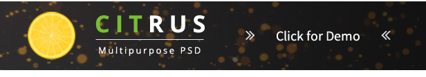 Citrus - one page about Shopify - 7