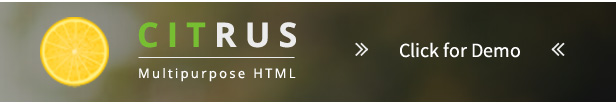 Citrus - one page about Shopify - 8