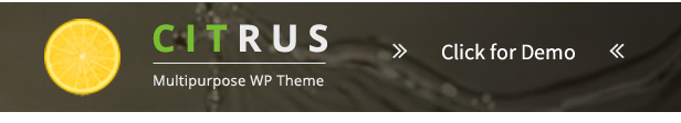 Citrus - one page about Shopify - 9