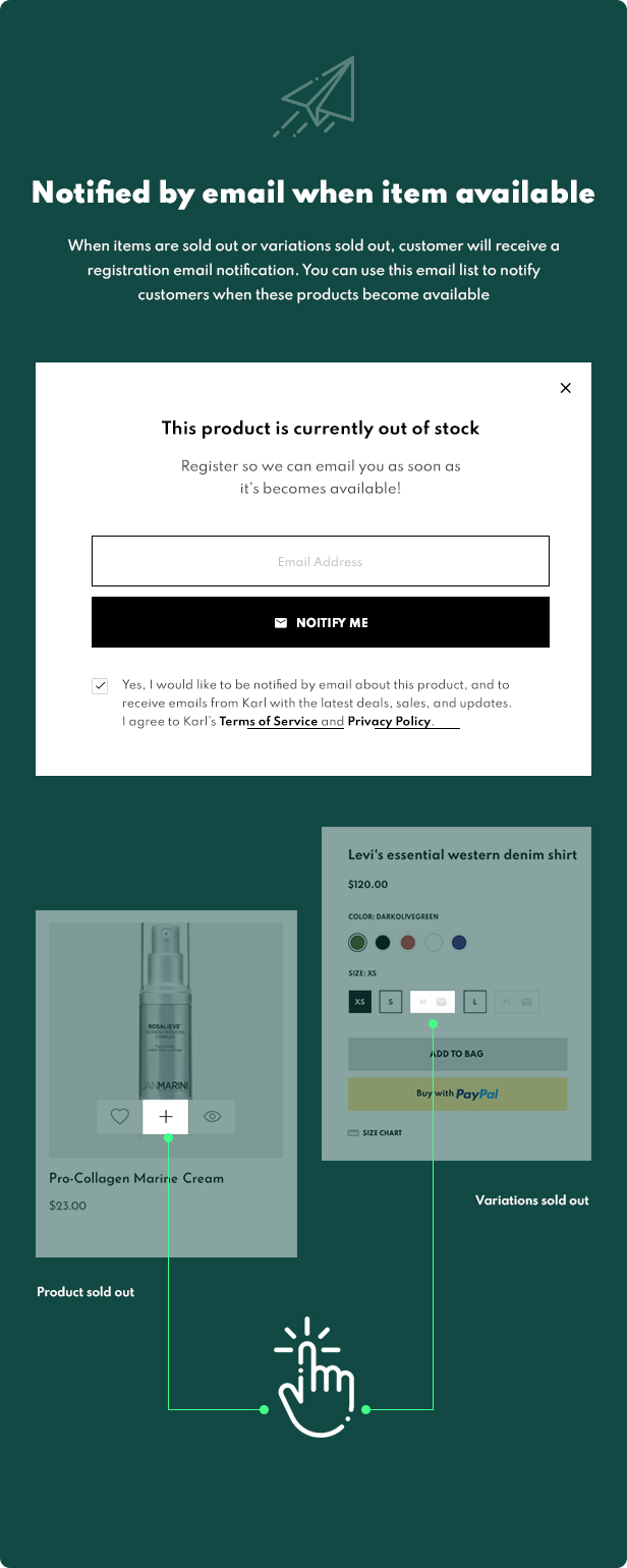 shopify theme