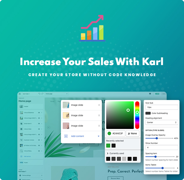 shopify theme