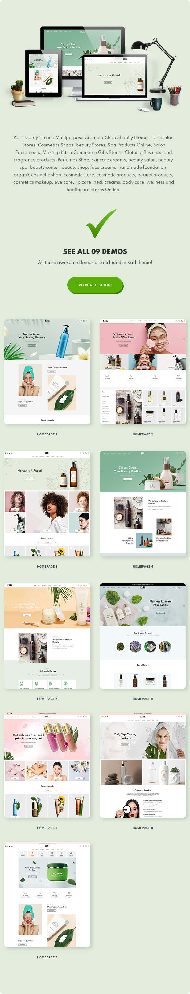shopify theme