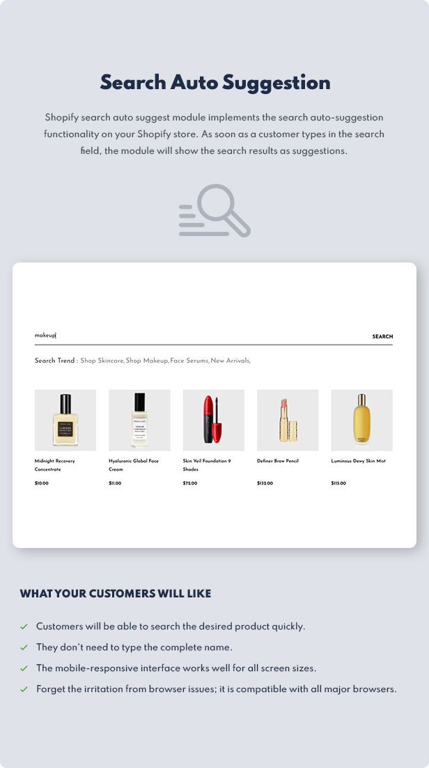 shopify theme