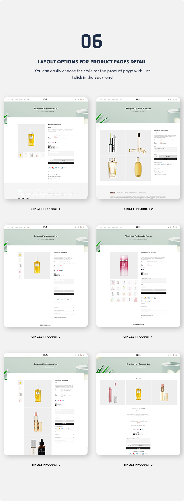 shopify theme