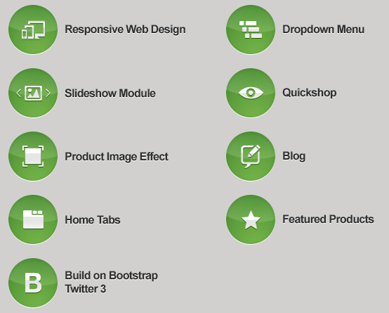 main features
