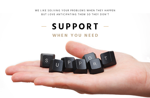 Shopify theme