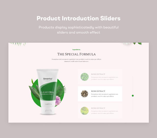 Product introduction sliders