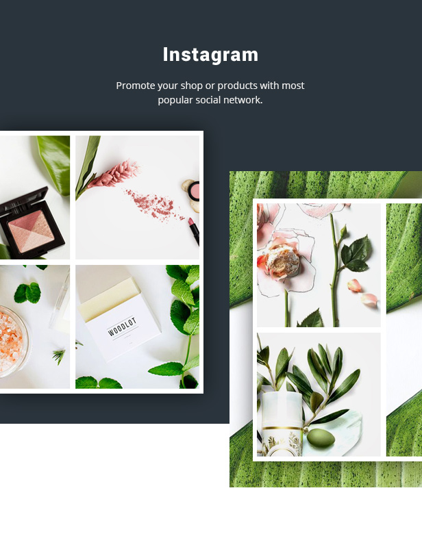 Vendor - Shopify Premium Design - 13
