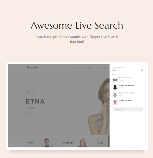 Shopify theme