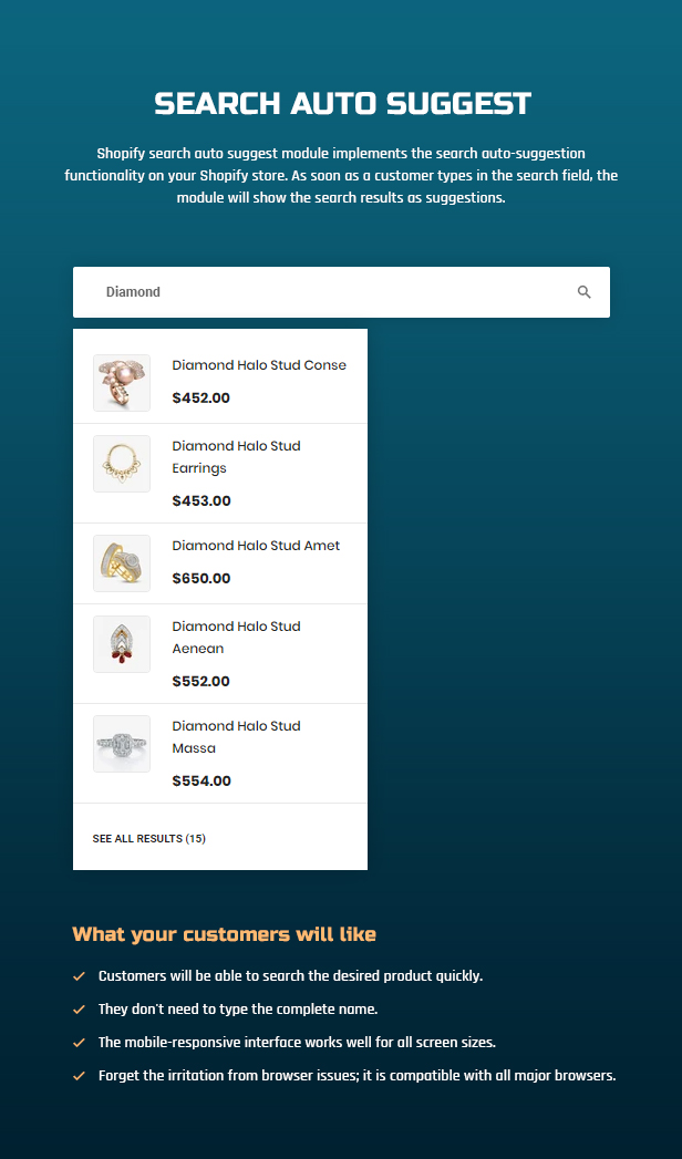 shopify theme