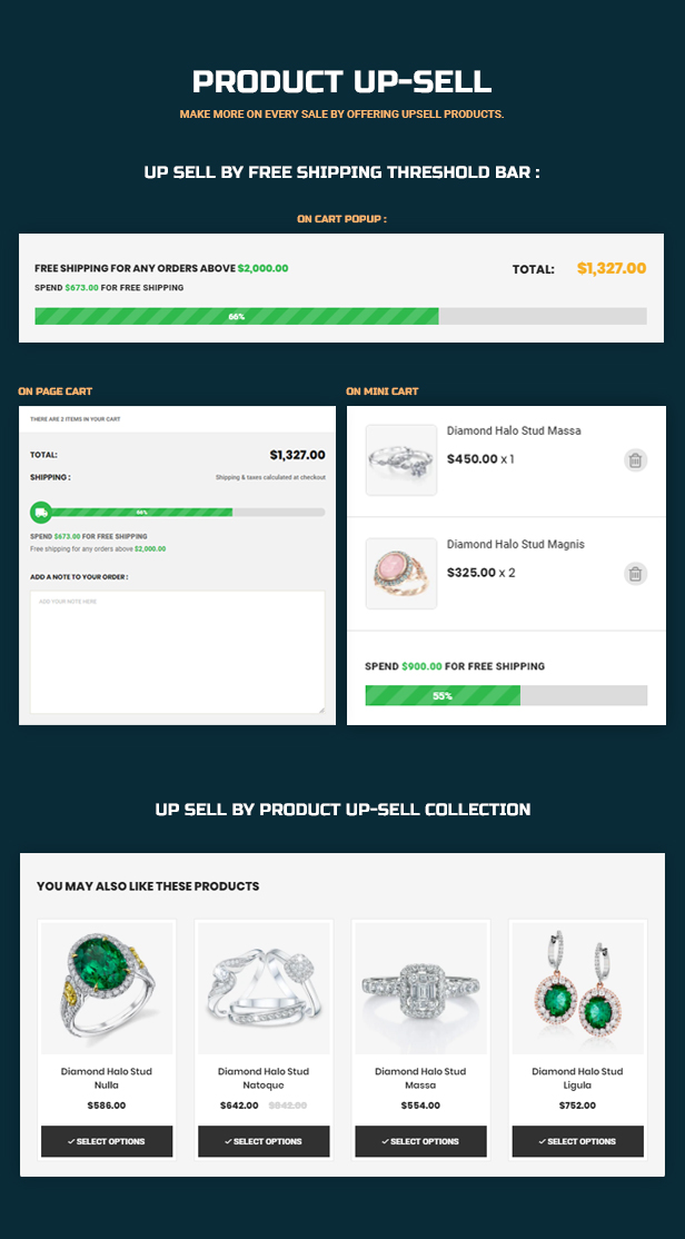 shopify theme