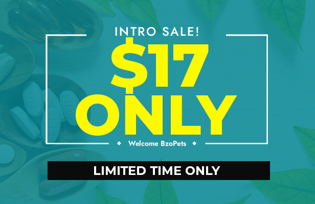 BzoPets - Pet shop and equipment for Shopify Theme - 2