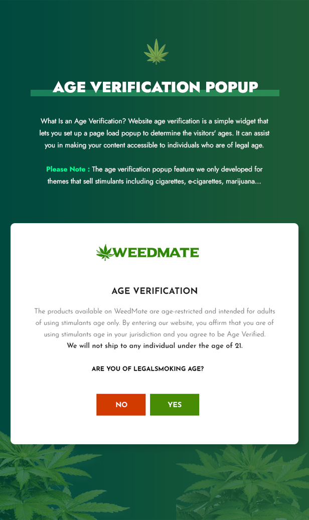 Mate - Multipurpose Shopify Theme 2.0 - 18
