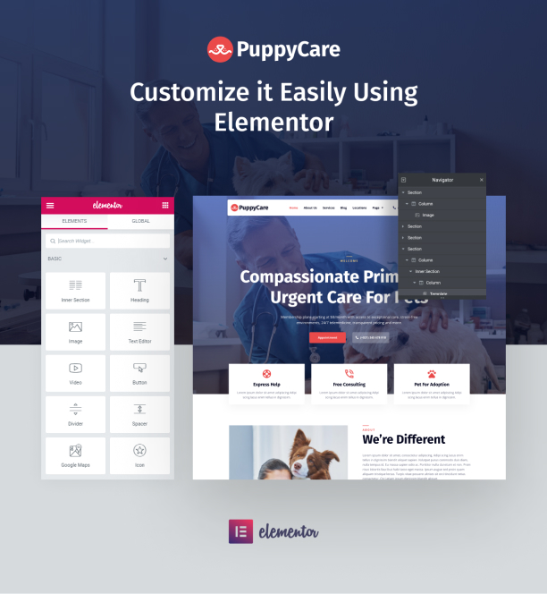 Pet care WordPress template