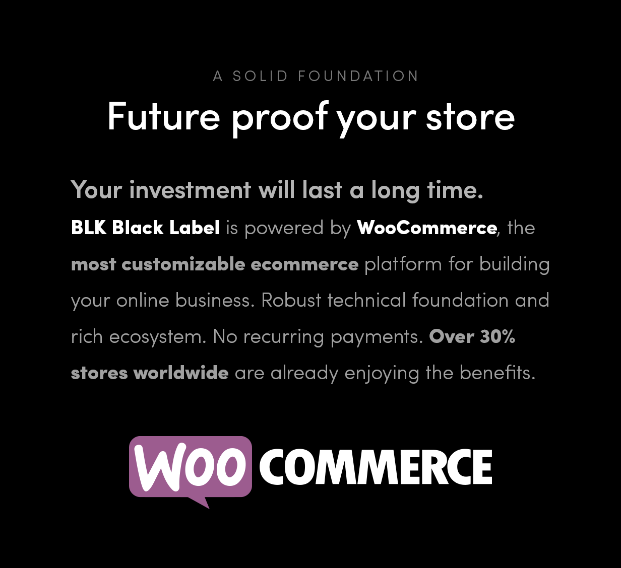 BLK Black Label — Streamlined WooCommerce Solution - 5