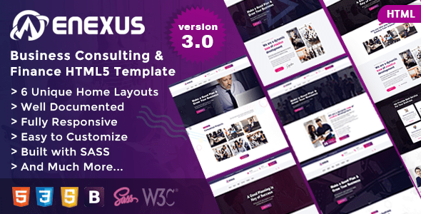 Enexus - Consulting Business