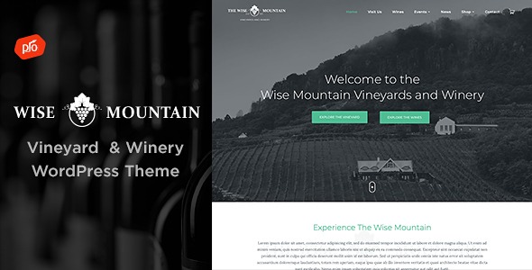 Wise Mountain - Vineyard and Winery WordPress Theme